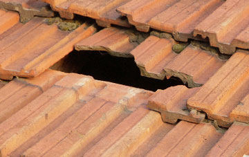 roof repair Roden, Shropshire